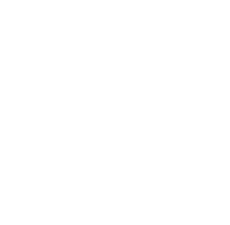 Jacopo Pierantozzi's GitHub icon