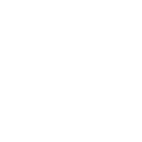 Jacopo Pierantozzi's LinkedIn icon
